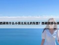 西藏有什么小孩儿玩儿的东西？西藏旅游小孩