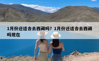 1月份还适合去西藏吗？1月份还适合去西藏吗现在