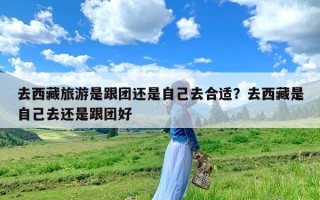 去西藏旅游是跟团还是自己去合适？去西藏是自己去还是跟团好