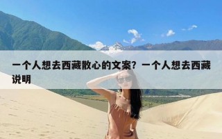 一个人想去西藏散心的文案？一个人想去西藏说明