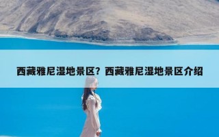 西藏雅尼湿地景区？西藏雅尼湿地景区介绍