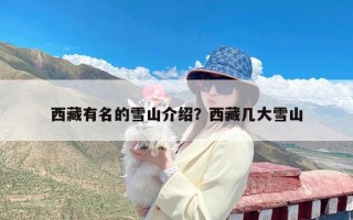 西藏有名的雪山介绍？西藏几大雪山