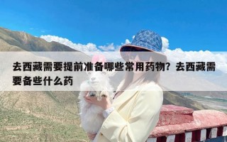 去西藏需要提前准备哪些常用药物？去西藏需要备些什么药