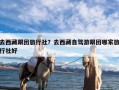 去西藏跟团旅行社？去西藏自驾游跟团哪家旅行社好
