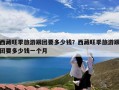 西藏旺季旅游跟团要多少钱？西藏旺季旅游跟团要多少钱一个月