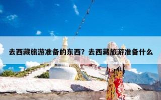 去西藏旅游准备的东西？去西藏旅游准备什么