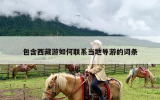 包含西藏游如何联系当地导游的词条