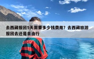 去西藏报团5天需要多少钱费用？去西藏旅游报团去还是自由行