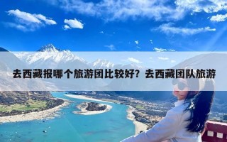 去西藏报哪个旅游团比较好？去西藏团队旅游