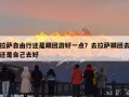 拉萨自由行还是跟团游好一点？去拉萨跟团去还是自己去好