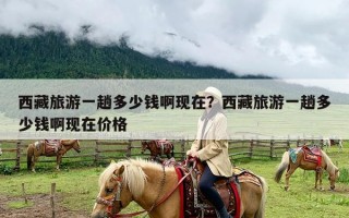 西藏旅游一趟多少钱啊现在？西藏旅游一趟多少钱啊现在价格