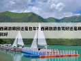 西藏游跟团还是包车？西藏旅游自驾好还是跟团好