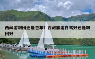 西藏游跟团还是包车？西藏旅游自驾好还是跟团好