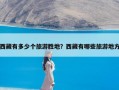 西藏有多少个旅游胜地？西藏有哪些旅游地方