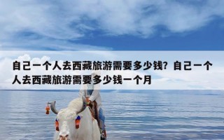 自己一个人去西藏旅游需要多少钱？自己一个人去西藏旅游需要多少钱一个月