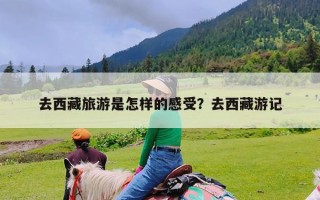 去西藏旅游是怎样的感受？去西藏游记