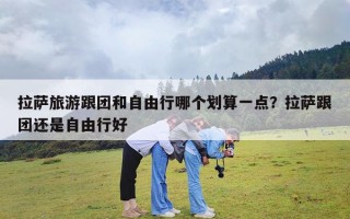 拉萨旅游跟团和自由行哪个划算一点？拉萨跟团还是自由行好
