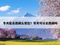 冬天能去西藏么现在？冬天可以去西藏吗