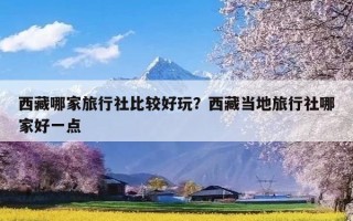 西藏哪家旅行社比较好玩？西藏当地旅行社哪家好一点