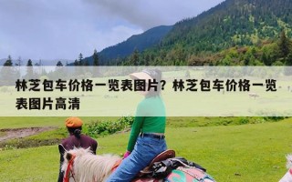 林芝包车价格一览表图片？林芝包车价格一览表图片高清