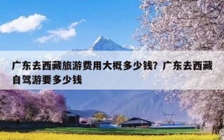 广东去西藏旅游费用大概多少钱？广东去西藏自驾游要多少钱