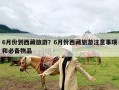 6月份到西藏旅游？6月份西藏旅游注意事项和必备物品