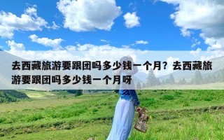 去西藏旅游要跟团吗多少钱一个月？去西藏旅游要跟团吗多少钱一个月呀