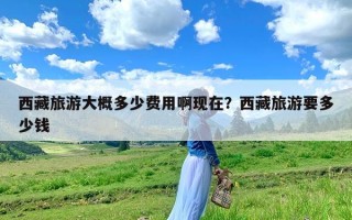 西藏旅游大概多少费用啊现在？西藏旅游要多少钱