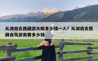 从湖南去西藏游大概多少钱一人？从湖南去西藏自驾游需要多少钱