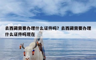 去西藏需要办理什么证件吗？去西藏需要办理什么证件吗现在