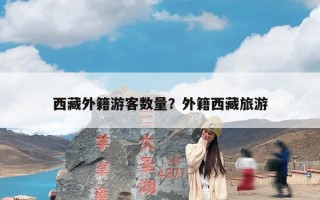 西藏外籍游客数量？外籍西藏旅游