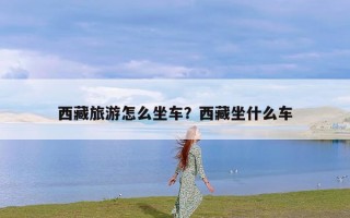 西藏旅游怎么坐车？西藏坐什么车