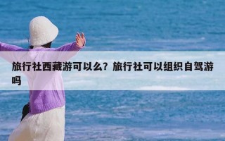 旅行社西藏游可以么？旅行社可以组织自驾游吗