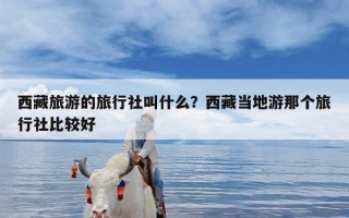 西藏旅游的旅行社叫什么？西藏当地游那个旅行社比较好