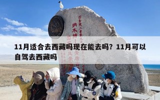 11月适合去西藏吗现在能去吗？11月可以自驾去西藏吗