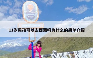 11岁男孩可以去西藏吗为什么的简单介绍