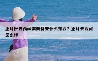 正月份去西藏需要备些什么东西？正月去西藏怎么样