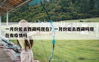 一月份能去西藏吗现在？一月份能去西藏吗现在有疫情吗