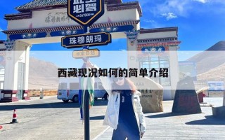 西藏现况如何的简单介绍