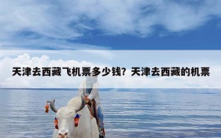 天津去西藏飞机票多少钱？天津去西藏的机票