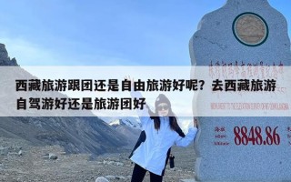 西藏旅游跟团还是自由旅游好呢？去西藏旅游自驾游好还是旅游团好