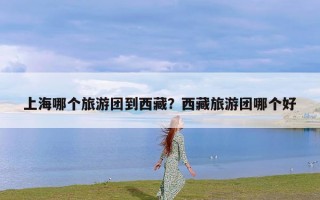 上海哪个旅游团到西藏？西藏旅游团哪个好