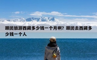 跟团旅游西藏多少钱一个月啊？跟团去西藏多少钱一个人