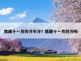西藏十一月份冷不冷？西藏十一月份冷吗