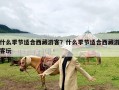 什么季节适合西藏游客？什么季节适合西藏游客玩