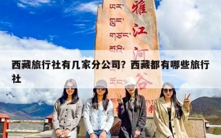 西藏旅行社有几家分公司？西藏都有哪些旅行社