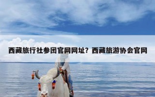 西藏旅行社参团官网网址？西藏旅游协会官网