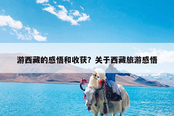 游西藏的感悟和收获?关于西藏旅游感悟