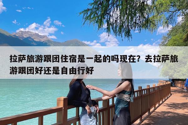 拉萨旅游跟团住宿是一起的吗现在?去拉萨旅游跟团好还是自由行好