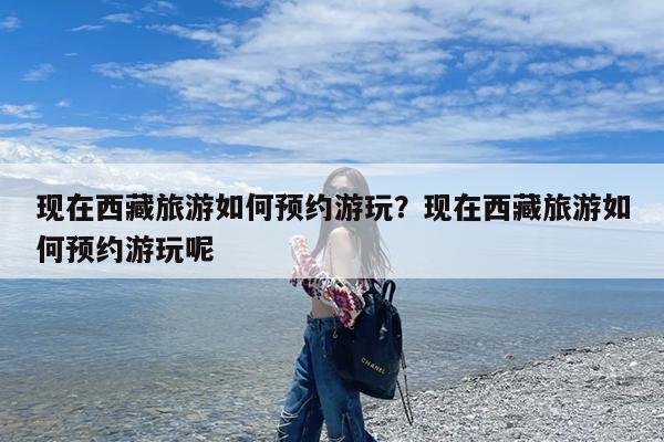 现在西藏旅游如何预约游玩?现在西藏旅游如何预约游玩呢